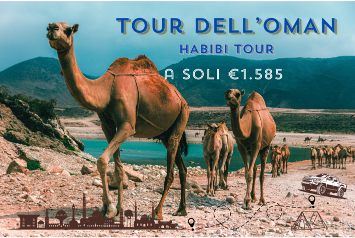 Habibi Tour dell'Oman